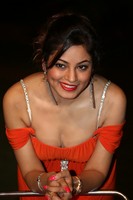 Shilpi Sharma Spicy Photos